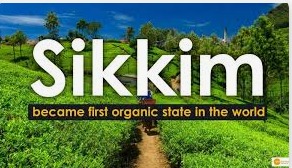 Sikkim The Worlds First Organic State Pioneering Sustainability - By Seema Khanna